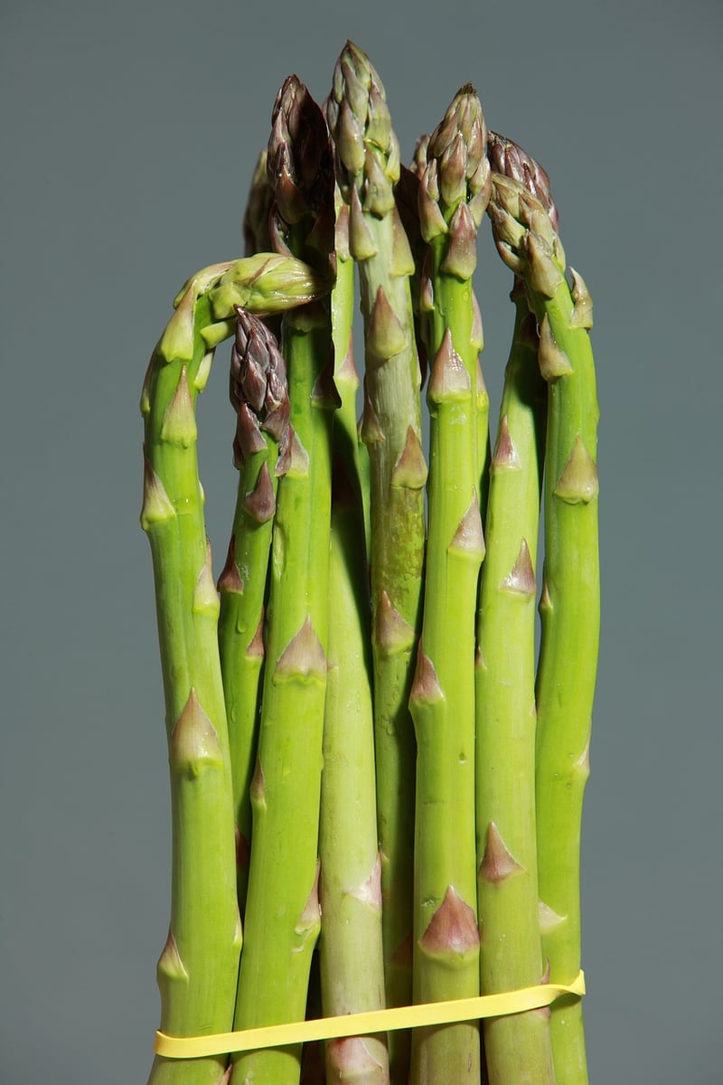 Fusion Cuisine Image